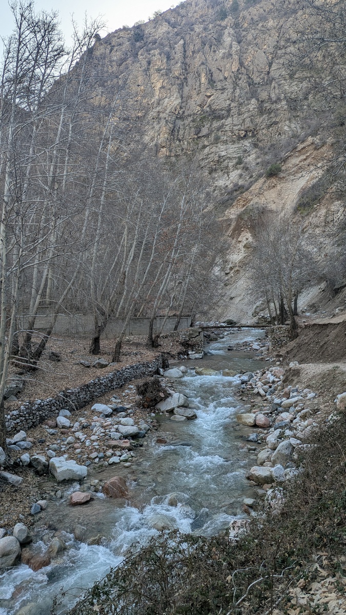 Горная река 