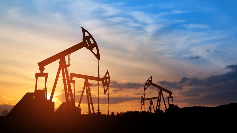    Автор фото: Hamara /FOTODOM / Shutterstock