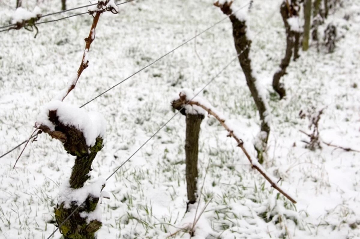   Время пробуждения.