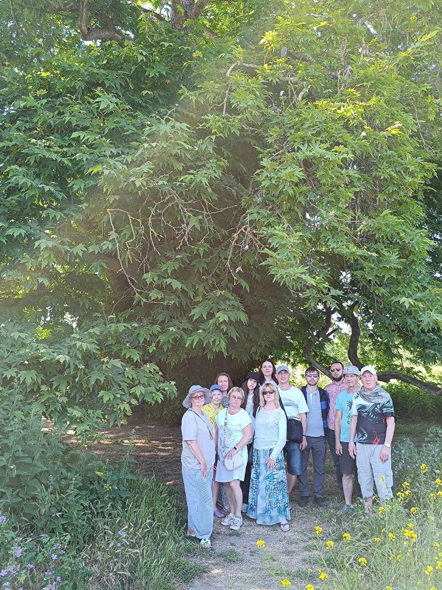 Наша большая группа в тени платана, Самурский лес, Дагестан