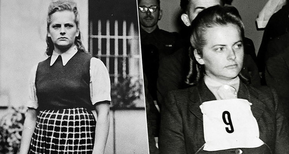 Фото из свободных источников.