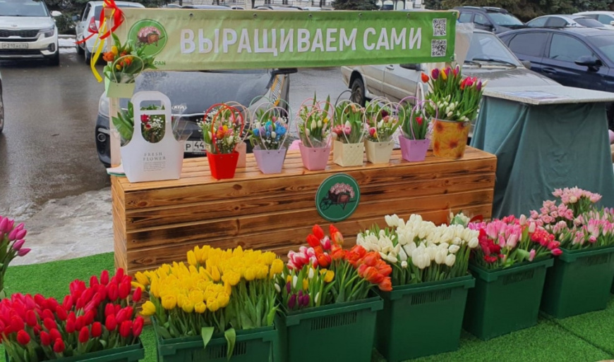 фото с сайта городской администрации https://grad.kostroma.gov.ru