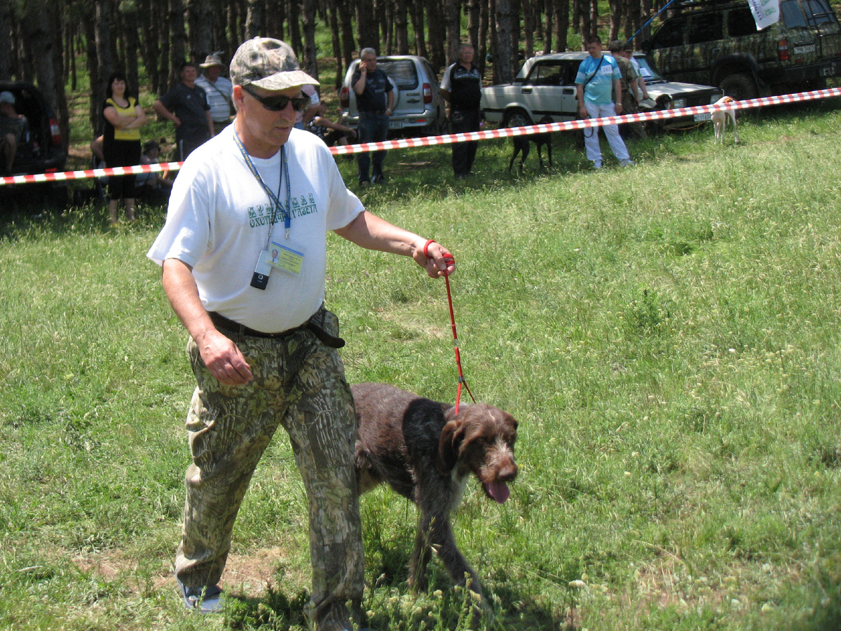 Я с дратхааром Даном на Крымской 40-й выставке охотничьих собак всех пород