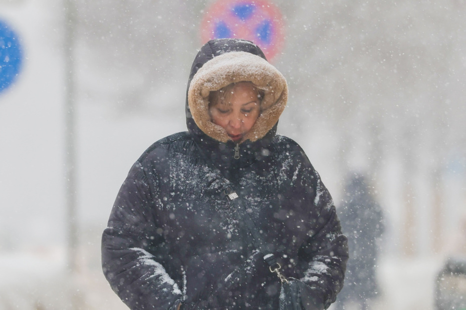    Наталья Шатохина/NEWS.ru