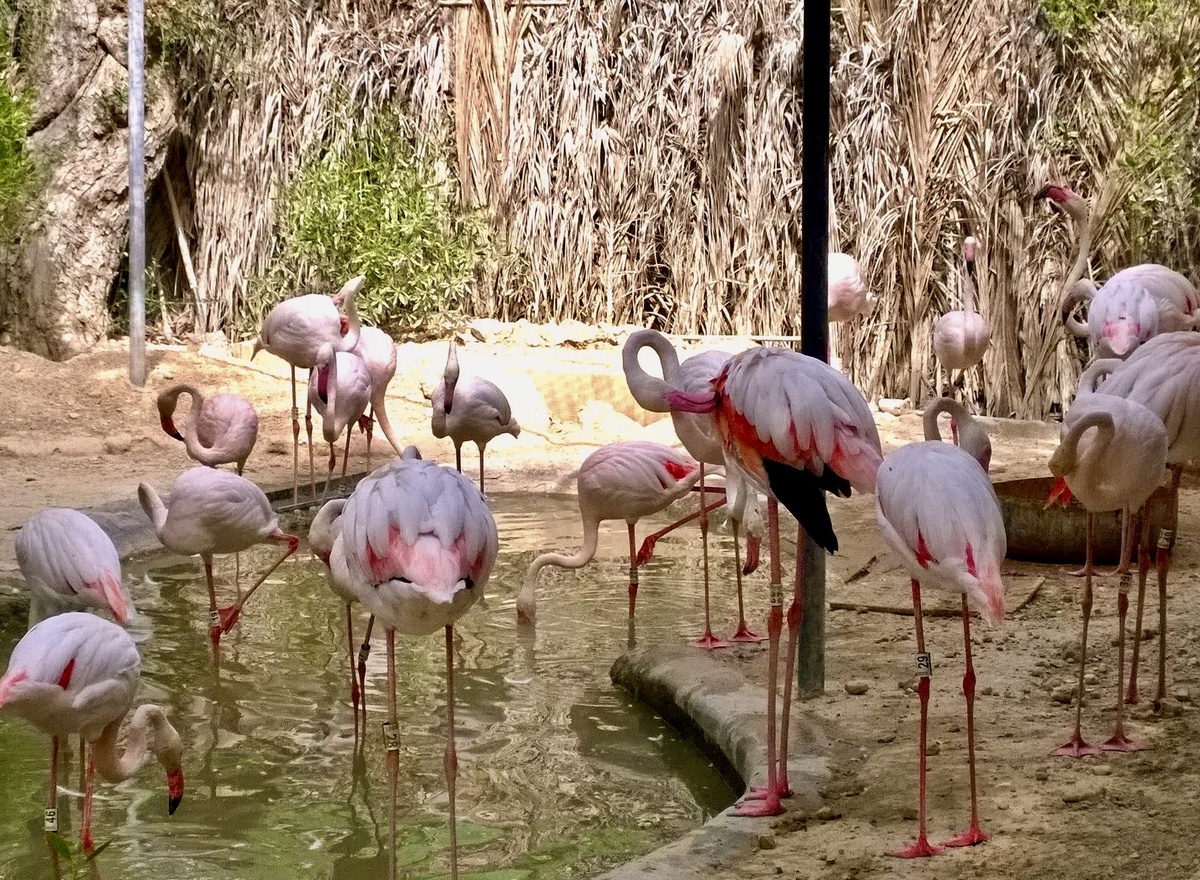 Из архива автора