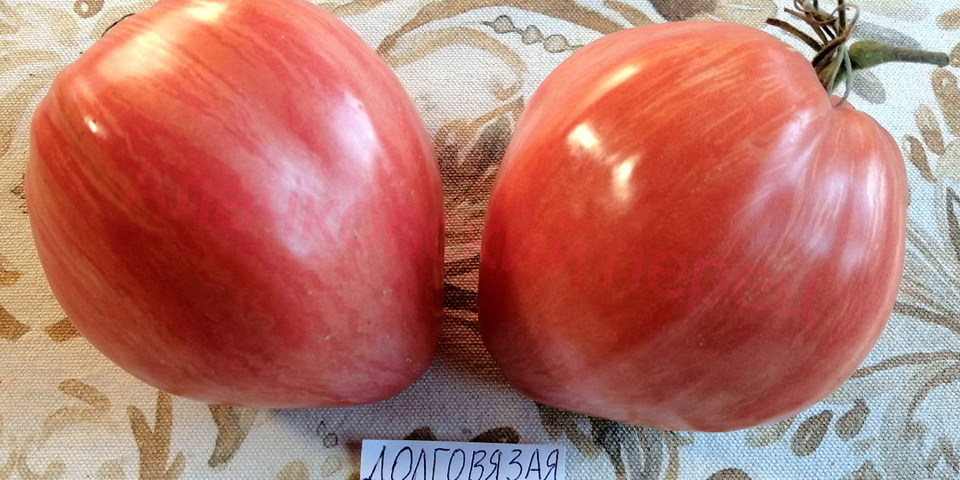 Томаты. Новинки 2025 года. Часть 2.