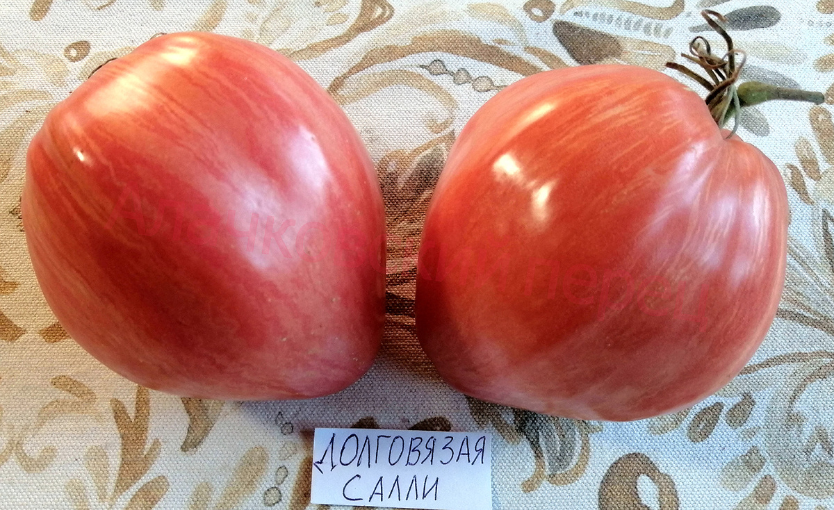 Долговязая Салли