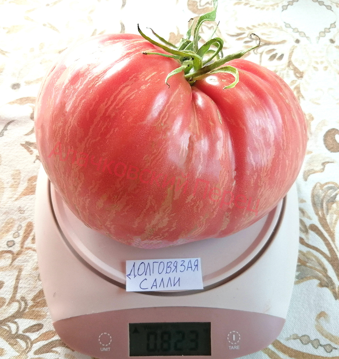 Долговязая Салли (Данное фото пришлось сильно осветлить, чтобы был виден вес)