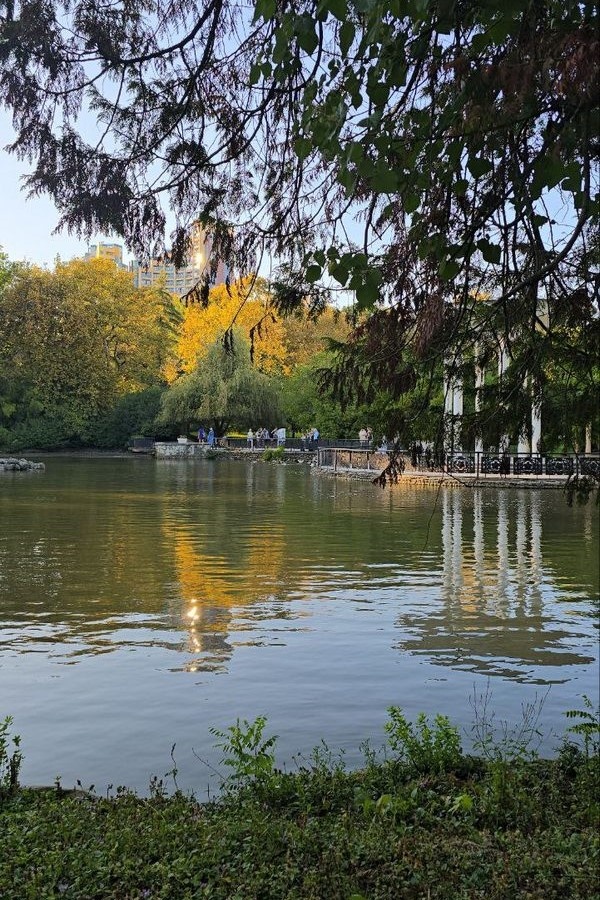 Жить в Сочи хорошо как минимум из-за климата
