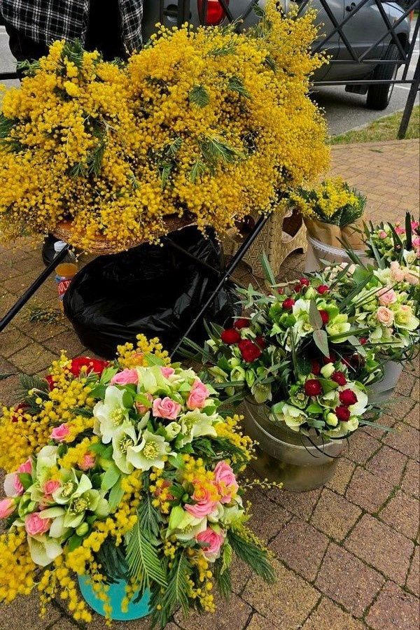 Лето теплое, яркое и солнечное
