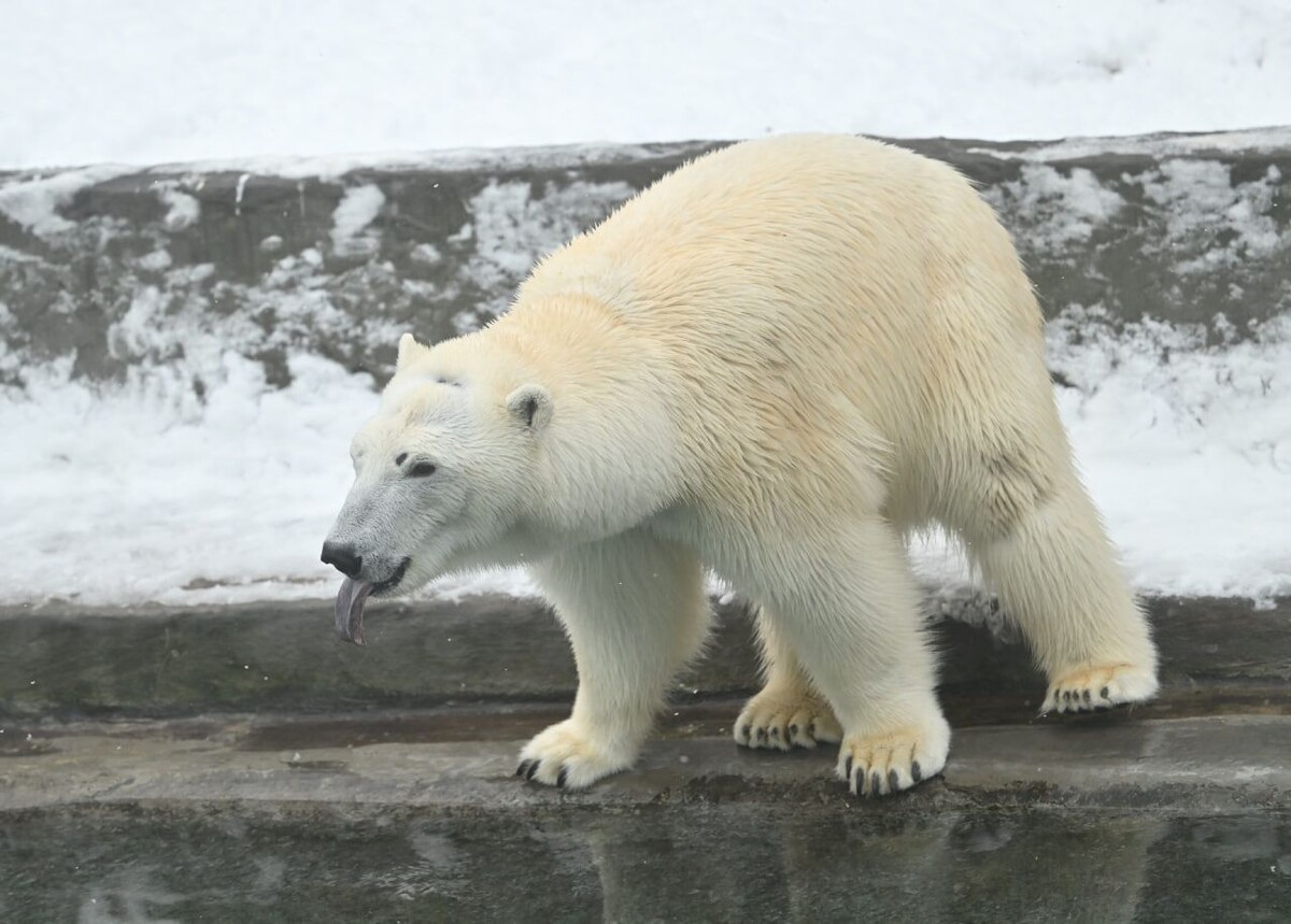     / Источник: Кадр из видео