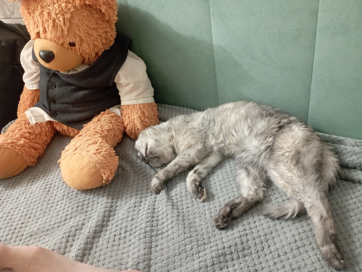 Соня уже легко забирается туда, где ей хочется поспать