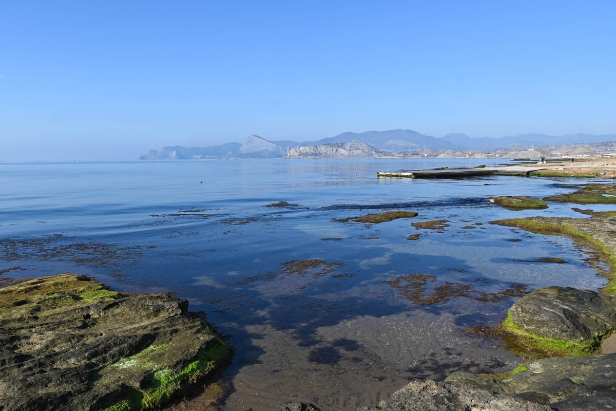 Фото: Гала Амарандо