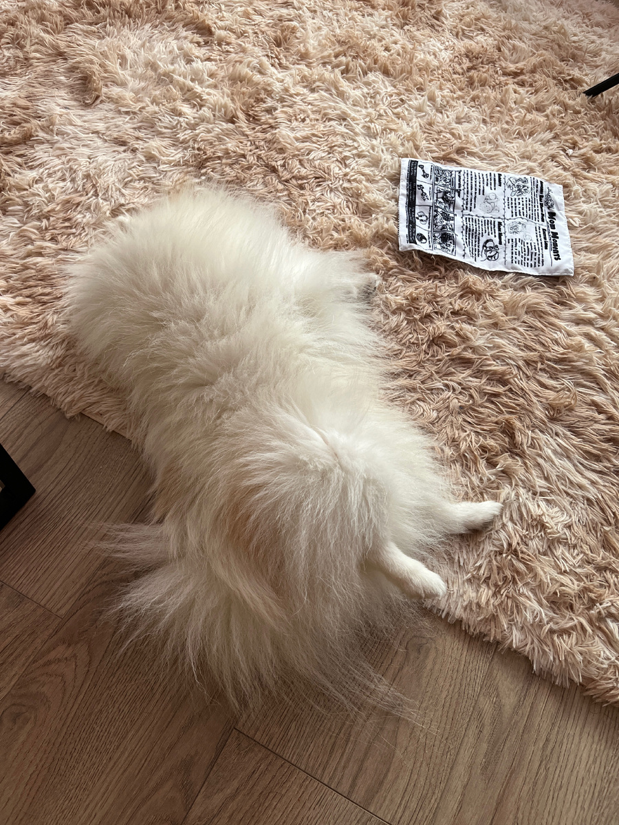 Спит с любимой игрушкой