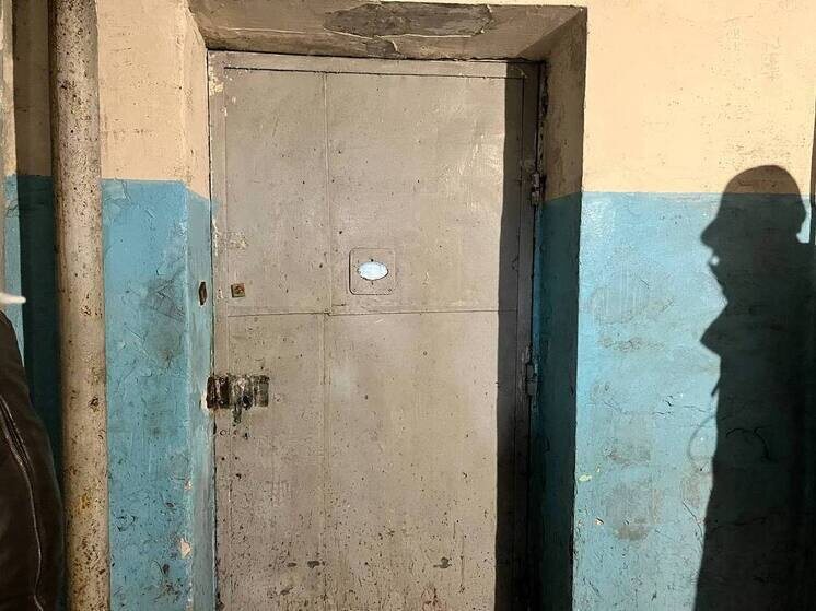     Фото: МК в Питере / Камилла Латыпова.