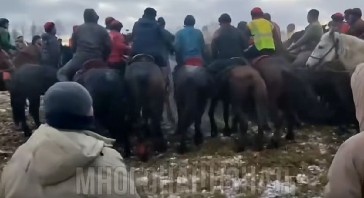 Фото: скрин видео "Многонационал".