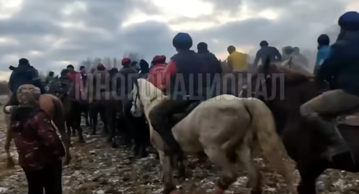 Фото: скрин видео "Многонационал".