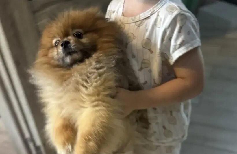     © "Интерфакс". Егор Сильченко