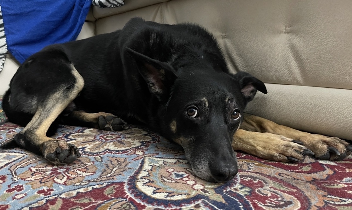 Думаю, по этой фотографии сразу понятно, о каком месте сейчас пойдет речь 😅