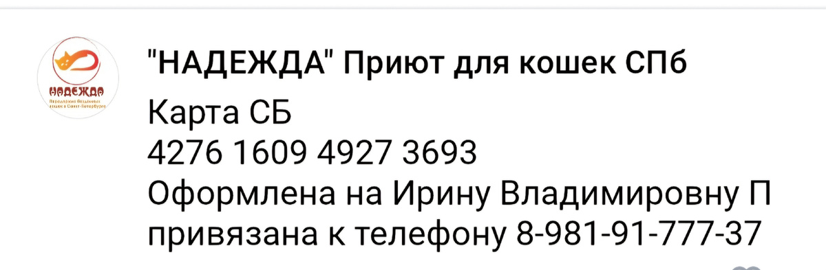 Реквизиты приюта 