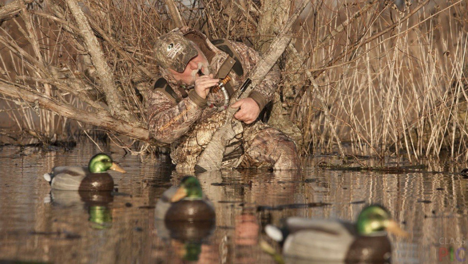 Весенняя охота в России: на кого и где можно охотиться, сроки, регионы, тактика и снаряжение