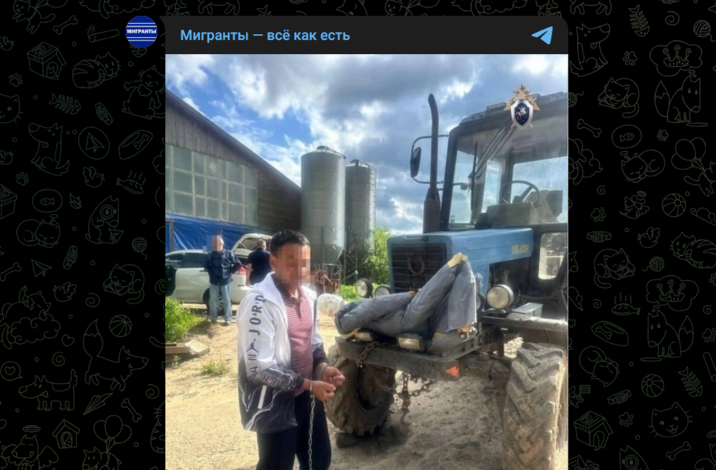 Фото: Telegram-канал "Мигранты - всё как есть"
