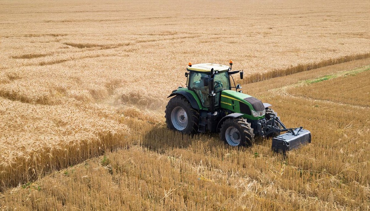 Фото: сгенерировано нейросетью