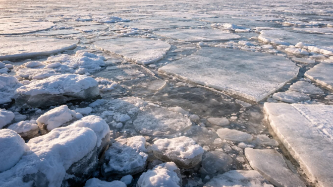 Фото: Изображение создано при помощи нейросети