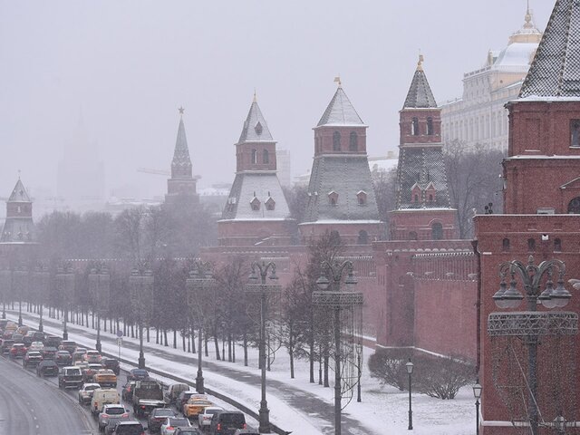    Фото: Москва 24/Никита Симонов