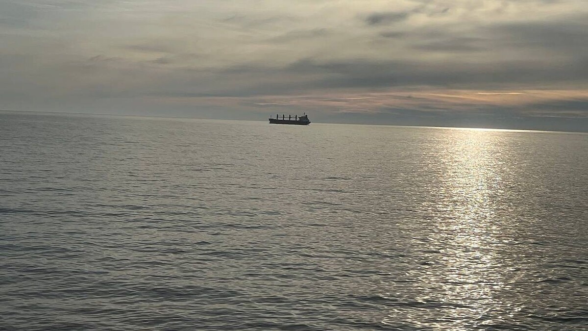    Фото: телеканал «Краснодар»