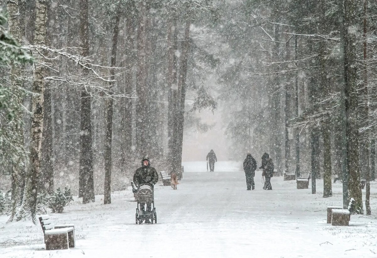     © РИА Новости. Алексей Даничев