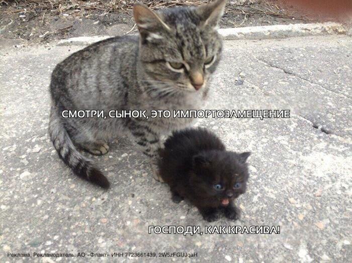 Импортозамещение: боль и страдания или новый уровень зрелости