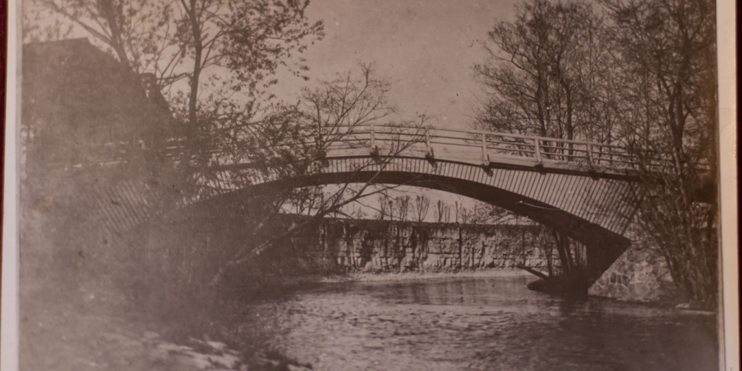 УСАДЬБЫ ПАЛКИНО: забытая история псковского дворянства