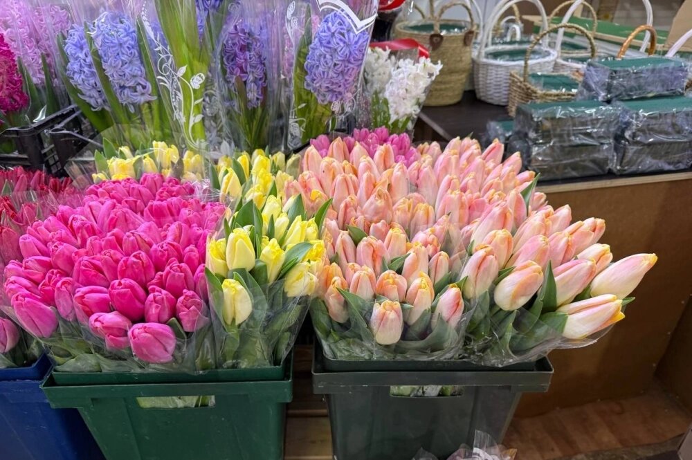    Тюльпаны в среднем стоят по 150 рублей за цветок. Фото: АиФ-Северный Кавказ/ Ева Егорова