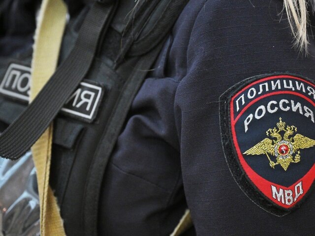    Фото: РИА Новости/Сергей Гунеев