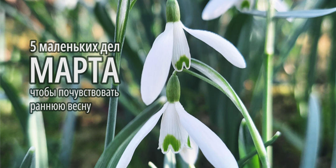 5 приятных дел марта, которые помогут почувствовать наступление весны, даже если еще лежит снег