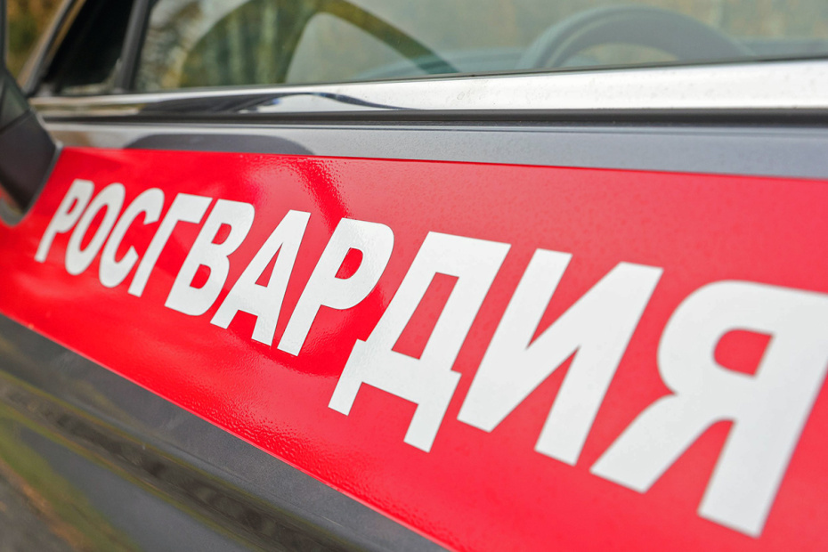    Наталья Шатохина/NEWS.ru