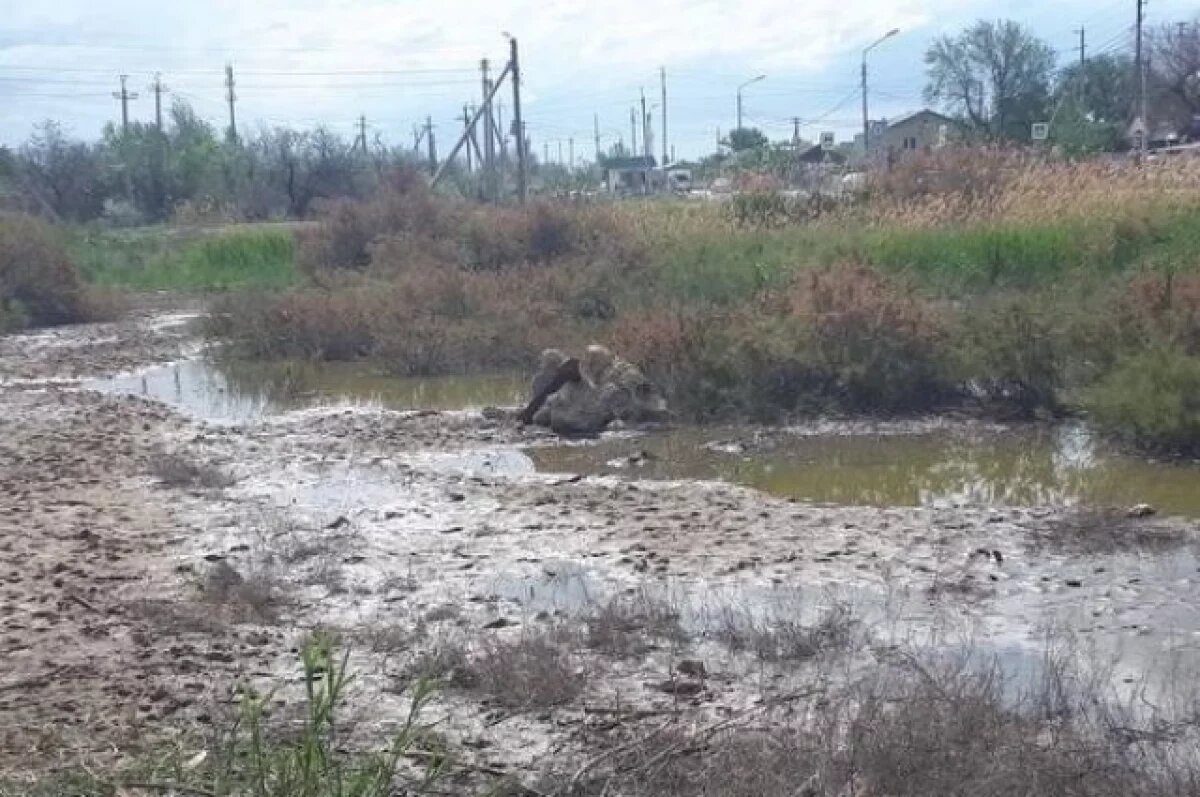    Тверские коммунальщики заплатят ₽75 млн за загрязнение 13 тысяч кв. м почвы