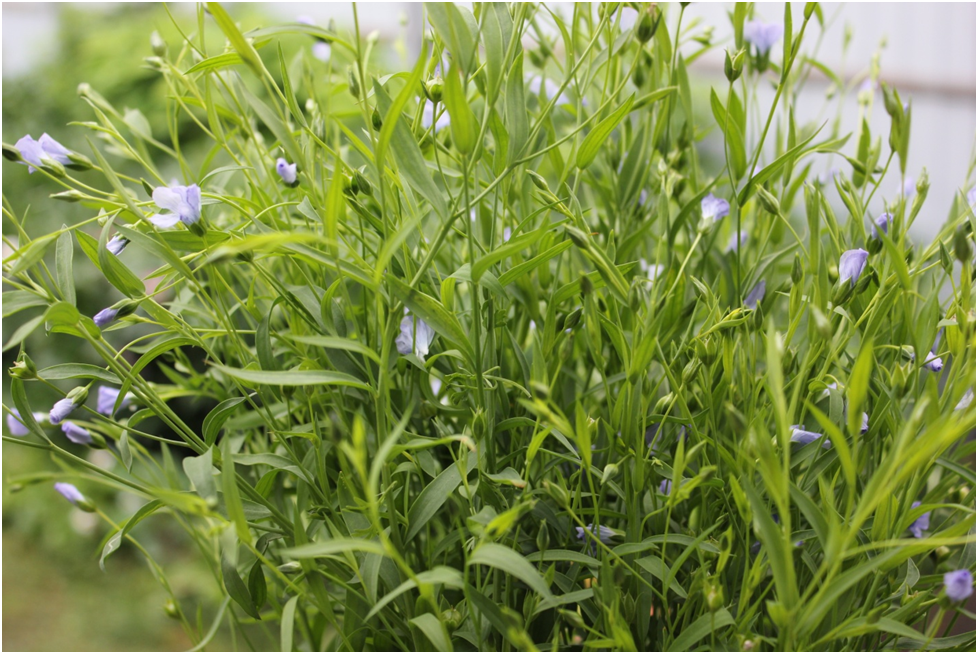 Личное фото автора.