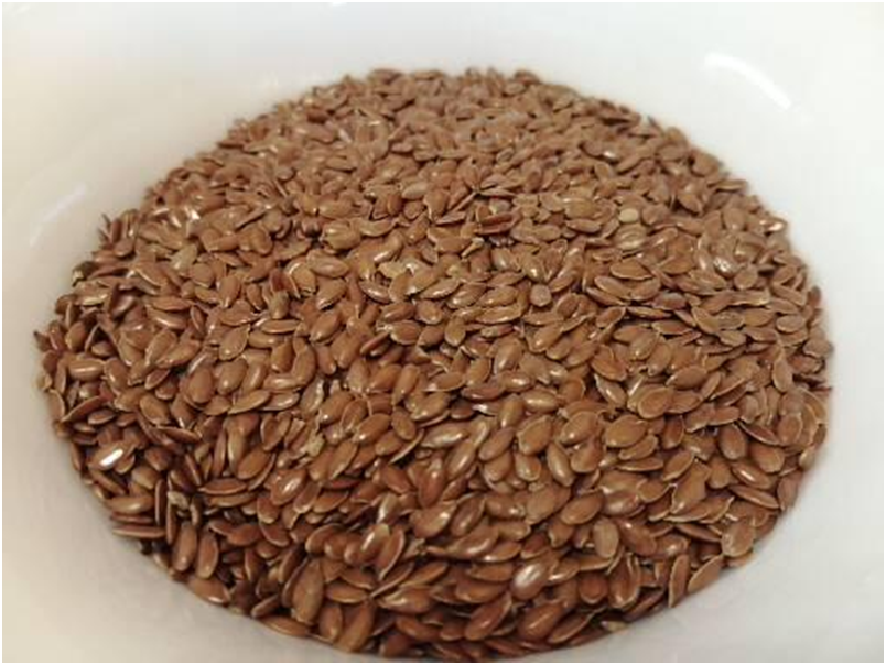 Личное фото автора.