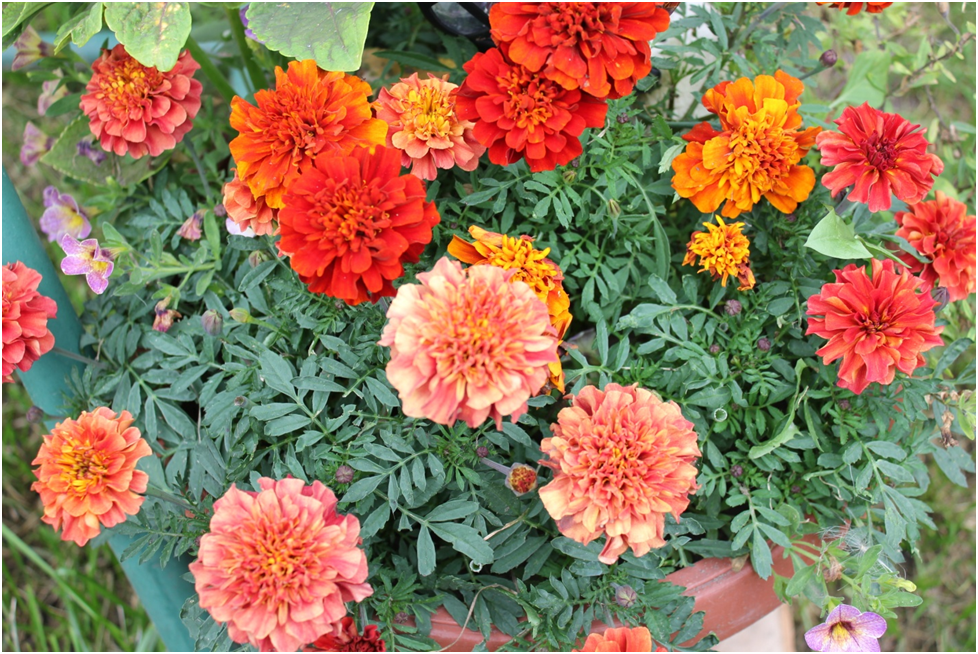 Личное фото автора.