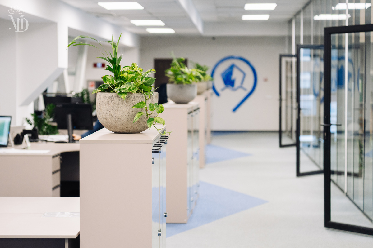 Выполнено декораторами Ми Декор