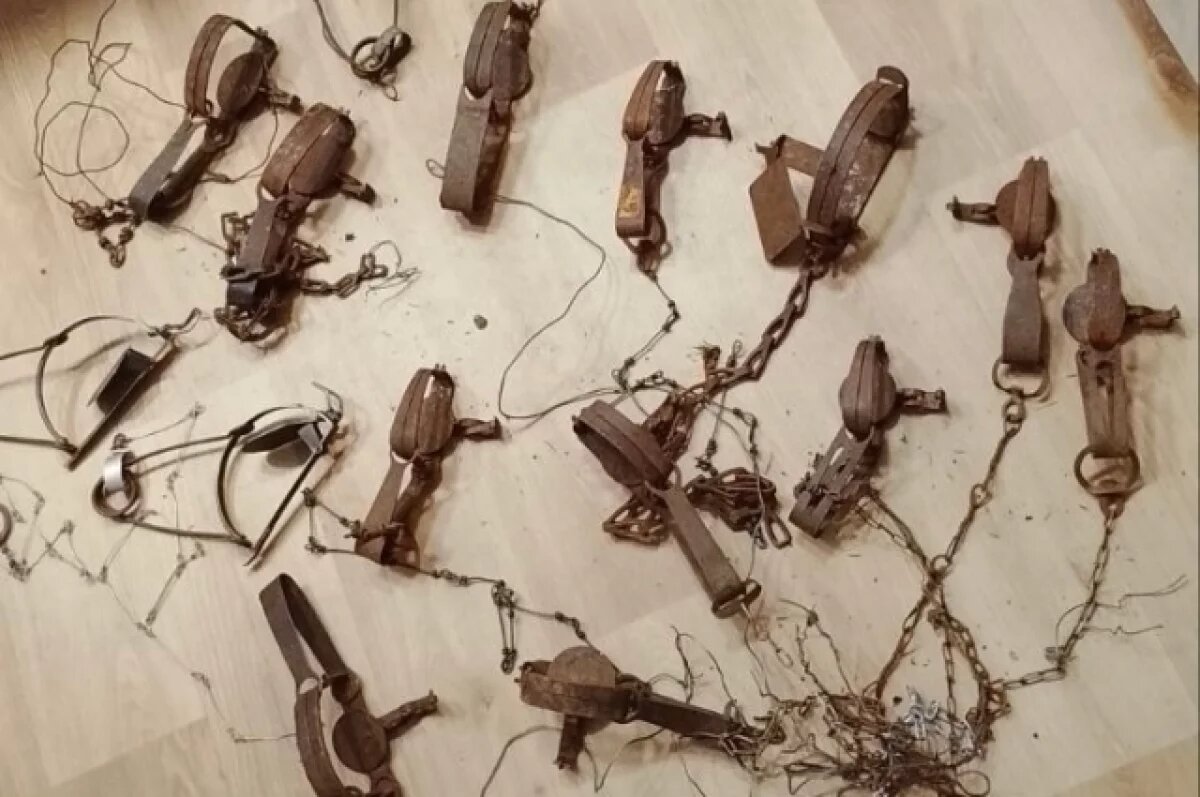    15 капканов сняли в охранной зоне инспекторы Полистовского заповедника