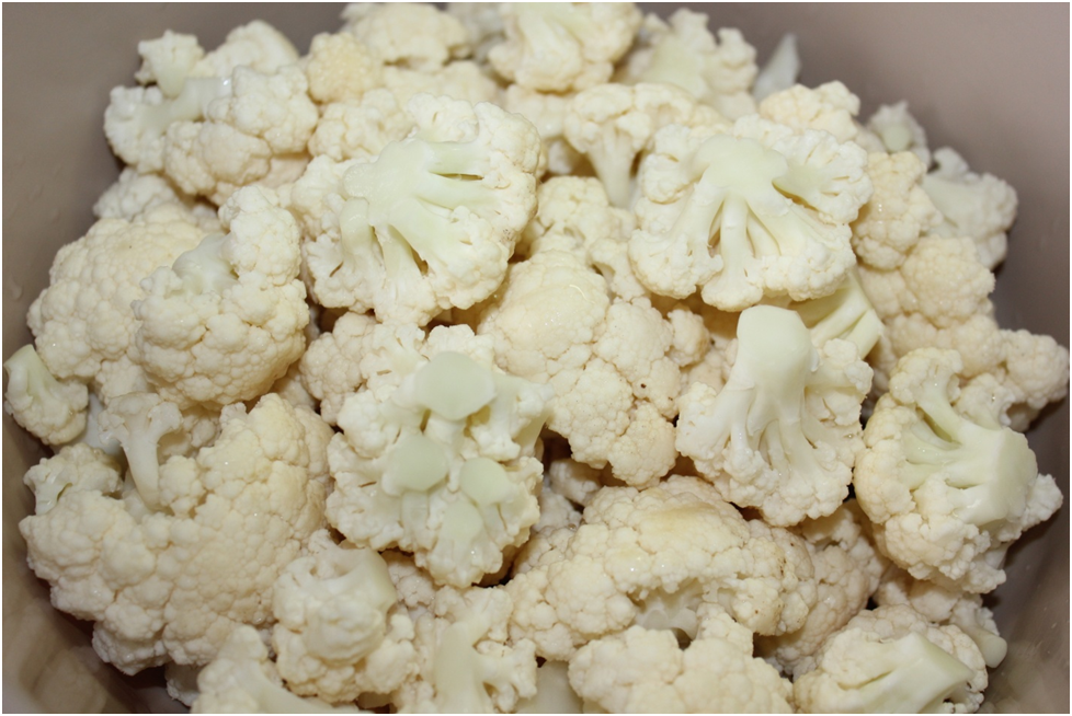 Личное фото автора.