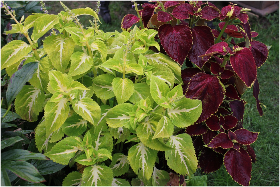 Личное фото автора.