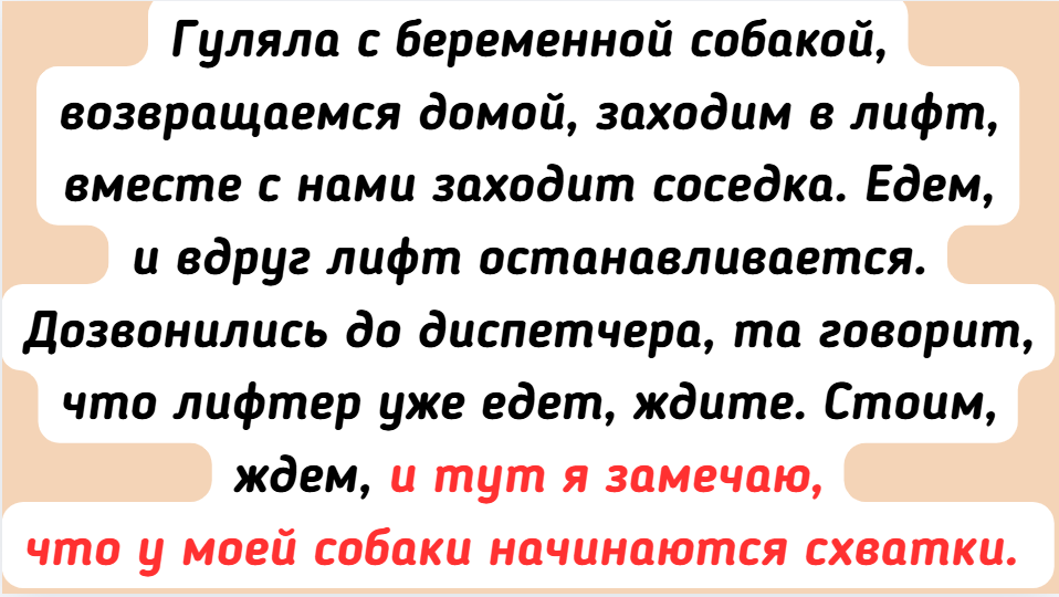 16 историй о соседях, чья помощь выручила в самый нужный момент