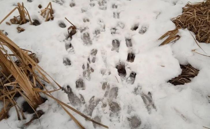    Фото Минприроды