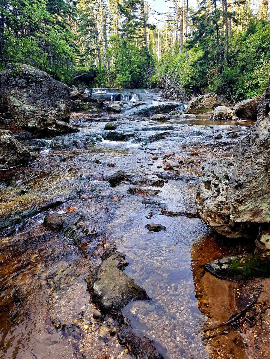 Кислый ручей на острове Кунашир. Фото автора.