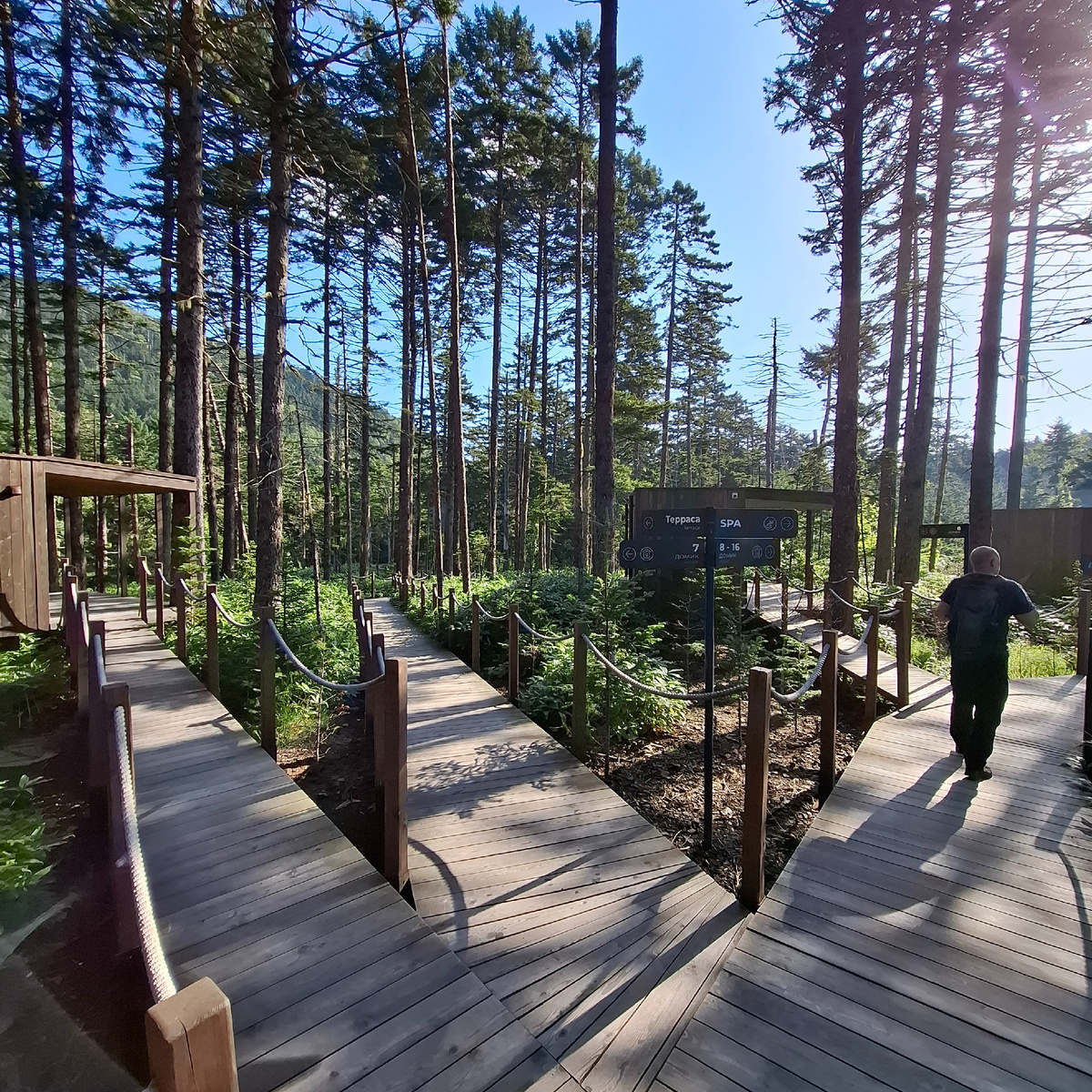 Хозяева премиум-глэмпинга позаботились, чтобы их клиенты гуляли по лесу с комфортом. Фото автора.