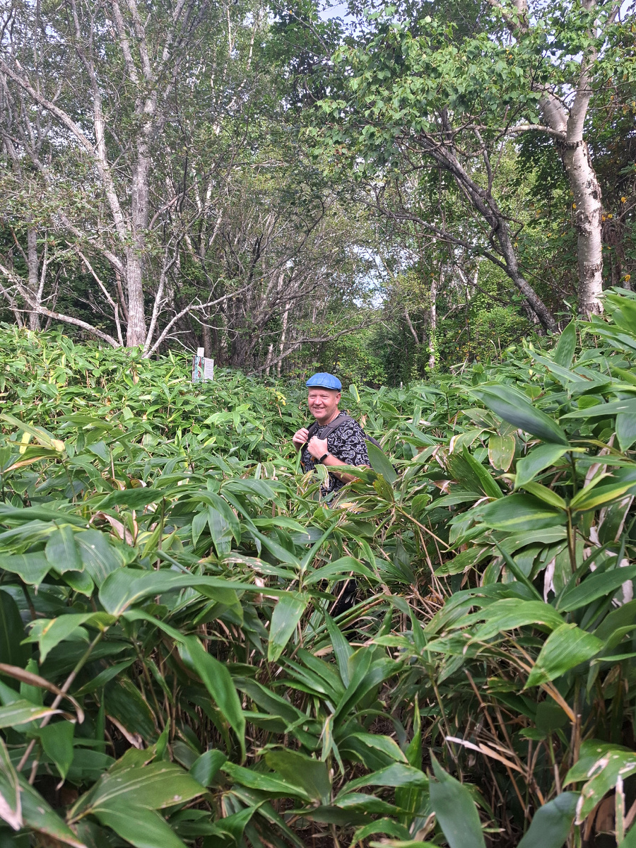 Эко-тропа «Столбовская», сентябрь 2025 года. Видите слева стенд стоит? Всё ок, мы на верном пути. Фото автора.